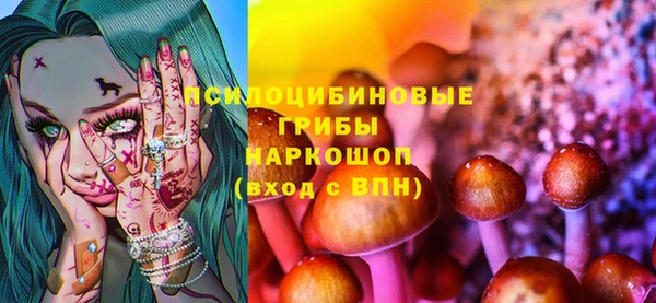 МДПВ Верхний Тагил