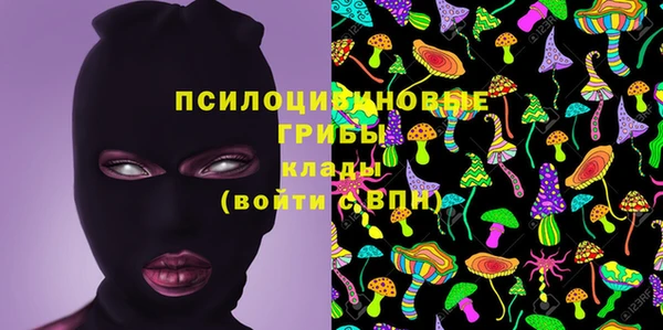 МДПВ Верхний Тагил