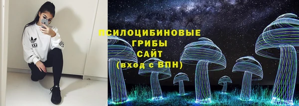 МДПВ Верхний Тагил